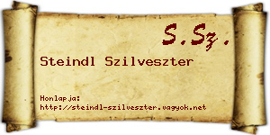 Steindl Szilveszter névjegykártya